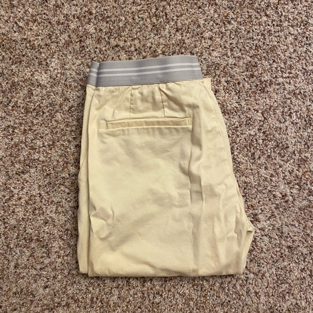 Uniqlo Ankle Pants
